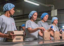 Home__Maquila_Ligera_Almacenamiento_Yobel_SCM_Colombia_Logistica_Manufactura