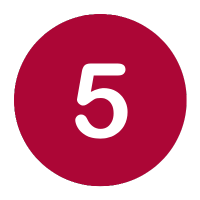 5 (1) - copia