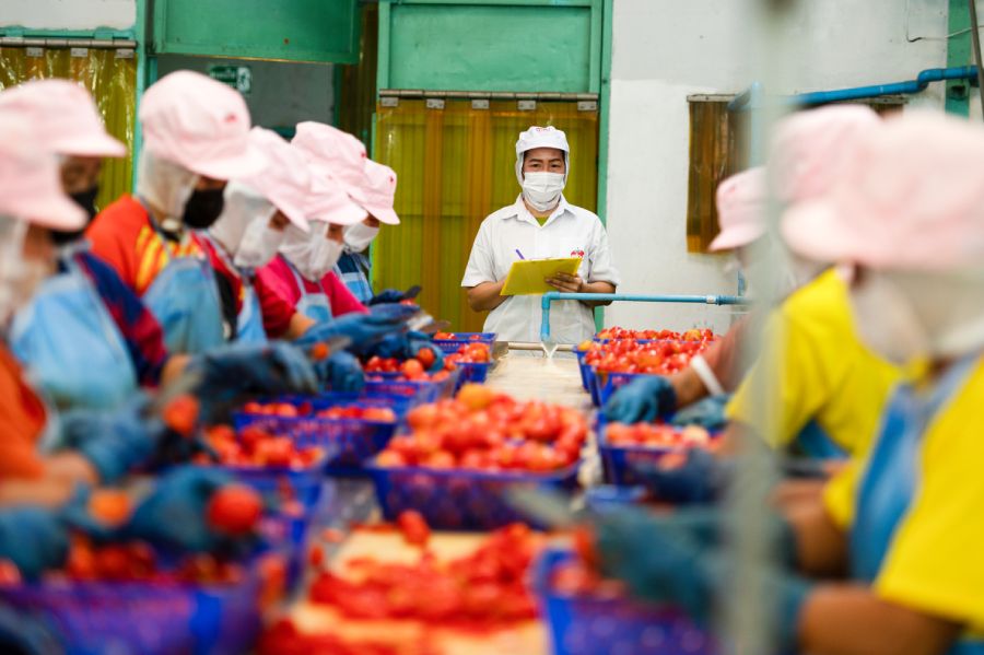 Proceso de control de calidad para reducir costos logísticos