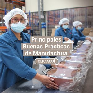 Principales Buenas Prácticas de Manufactura (BPM).